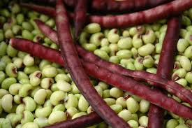 Planting Peas